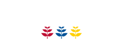 Fysiotherapiepraktijk Schaafdries