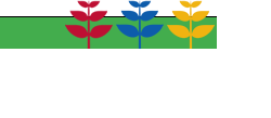 Fysiotherapie
                  Schaafdries